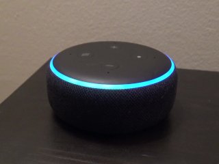 funny, alexa, comical, point of view