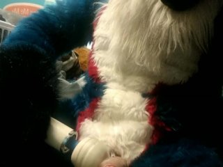 Quick little fursuit wanding vid
