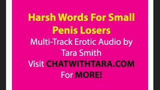 SPH Erotic Audio Multi-Track Trance Layer Harsh Reality 4 Small Penis Men