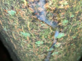 在树上射精，近距离观察我的新负载
