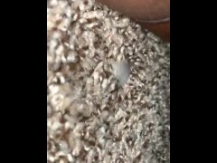 Big dick makes pussy cum hard 