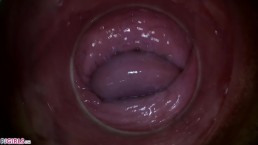 PJGIRLS - Camera deep inside Paula Shy's vagina (Full HD Pussy Cam)