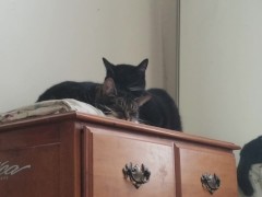 PH export test 3 - Screenshot 10 of 16 - Personal Video