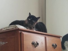 PH export test 3 - Screenshot 15 of 16 - Personal Video