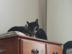 PH export test 3 - Screenshot 4 of 16 - Home Video