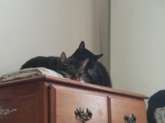 PH export test 3 - Screenshot 5 of 16 - Personal Video