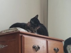 PH export test 3 - Screenshot 8 of 16 - Amateur Video