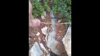 slow motion outdoor pee