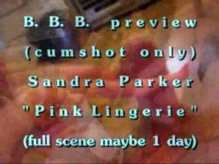 B.B.B. preview: Sandra Parker "Pink Lingerie"(cum only) WMV with Slomo