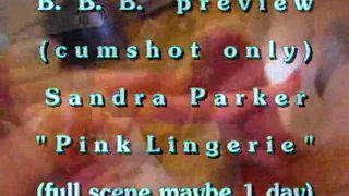 B.B.B. preview: Sandra Parker "Pink Lingerie" (alleen cum) WMV met Slomo