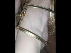Heels fest