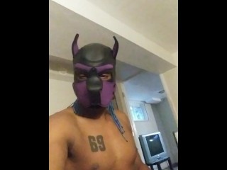 Onyx in Dog Mask
