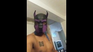 Onyx in dog mask