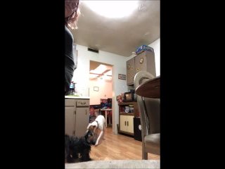 big shorts falling in the kitchen (+ ass spreading)