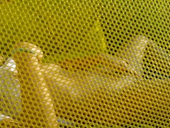 NO PANTIES Biking to my hidden SunBath spot# My PUSSY like Sun Tanning:) 