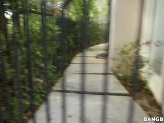 BANGBROS - Black Nympho Anya Ivy Returns To Brown Bunnies For More Dick