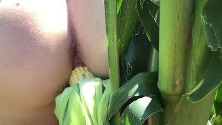 Riley Jacobs In The Cornfield