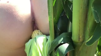 Riley Jacobs - トウモロコシ畑の奥深くで行く