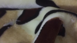 Cumming on soft mink blanket porn video thumbnail