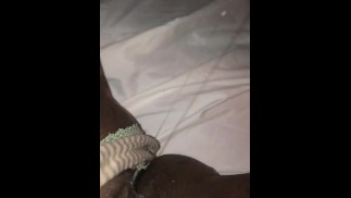 猫无缘无故湿漉漉的