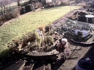 Sometimes, the toilet is too good for your Wild Boy.