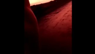 3 голых придорожных вызова