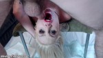 Playlist Thumb 107670191-2