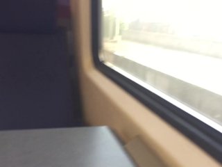 Risky Ride in a Dutch Train Without Panties (PUBLICPUSSY FLASHING)
