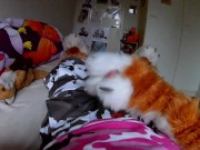 Preview 4 of Fursuiter POV masturbating and moaning