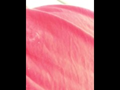 Cumtastic - Screenshot 15 of 16 - Cum