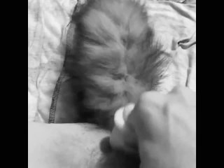 New dildo.... not sure