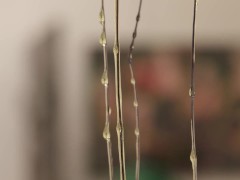 The Pleasure Principle Art Exhibit - A Walkthrough with Asa Akira