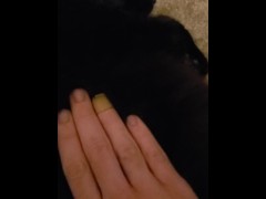 Petting My Favorite Pussy