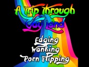 Preview 1 of A trip through Gay land Edging Wanking Porn Flipping