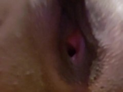 Strip Tease - Screenshot 6 of 16 - Pussy Flick