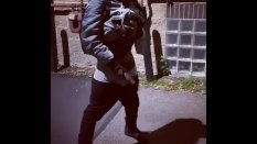 pissing