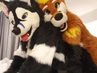 Taiky X Johnny-Huskey MFF'2019