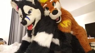 Human Furry Costume Porn - Free Fursuit Porn Videos from Thumbzilla