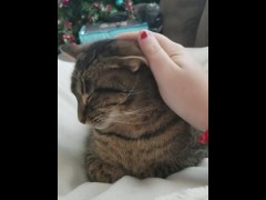 Petting - Screenshot 1 of 16 - Kitty