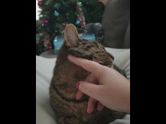 Petting