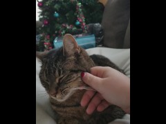 Petting - Screenshot 13 of 16 - Meow