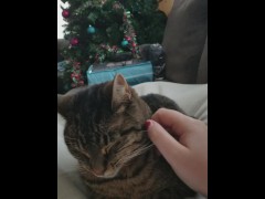 Petting - Screenshot 16 of 16 - Kitty