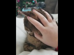 Petting - Screenshot 2 of 16 - Cute