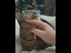 Petting - Screenshot 4 of 16 - Cat