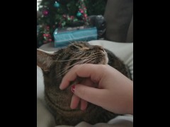 Petting - Screenshot 5 of 16 - Cute Cat