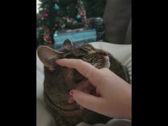 Petting - Screenshot 6 of 16 - Kitty