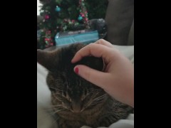 Petting - Screenshot 7 of 16 - Cute