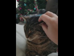 Petting - Screenshot 8 of 16 - Meow