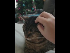 Petting - Screenshot 9 of 16 - Cat
