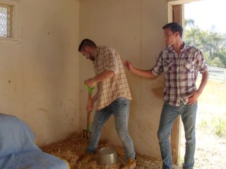 NextDoorStudios Boss Catches Workers Fucking On The Farm screenshot number 2